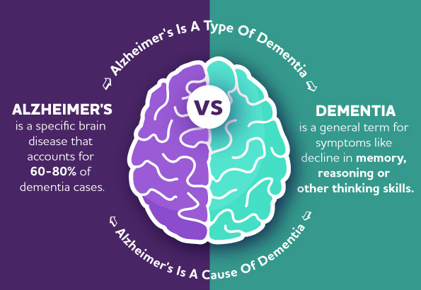 ALZ.org dementia infographic